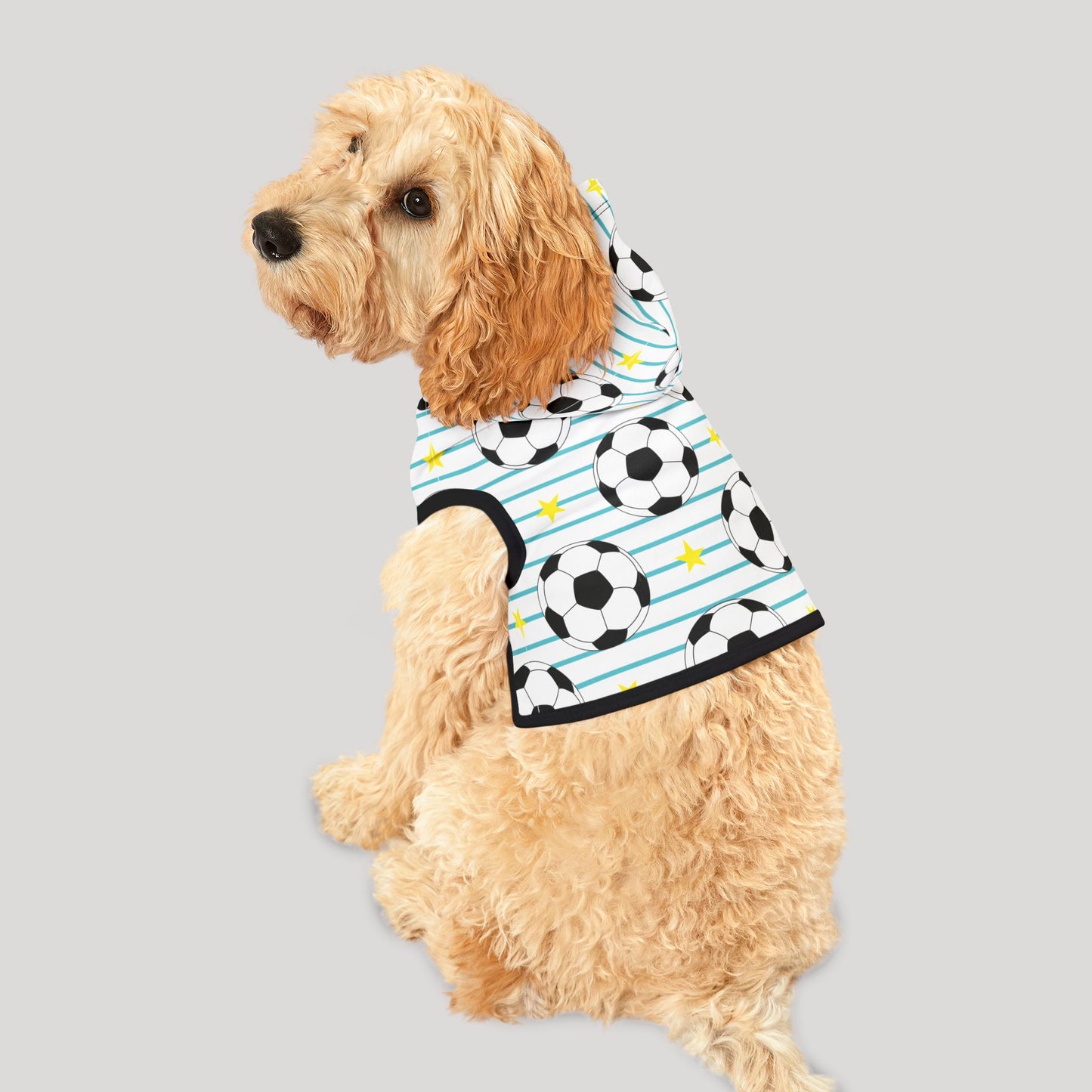 Pet Hoodie