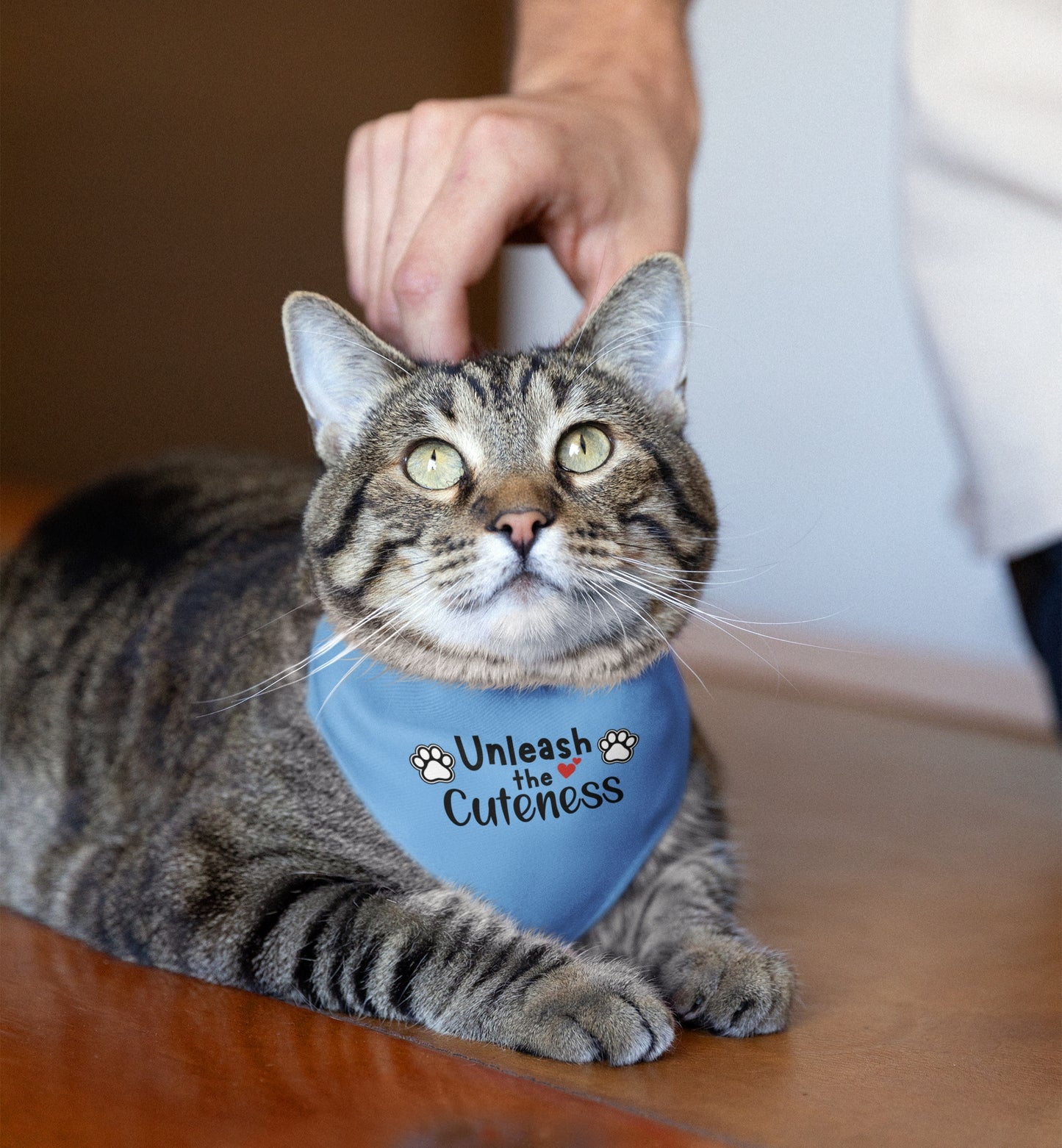 Pet Bandana Collar