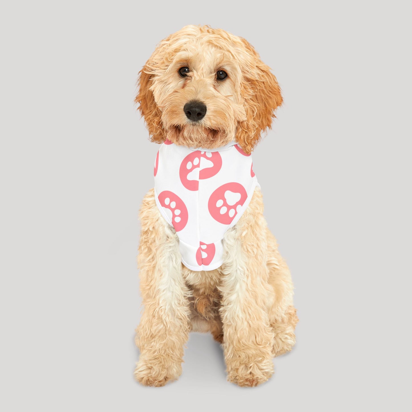Paws Hoodie