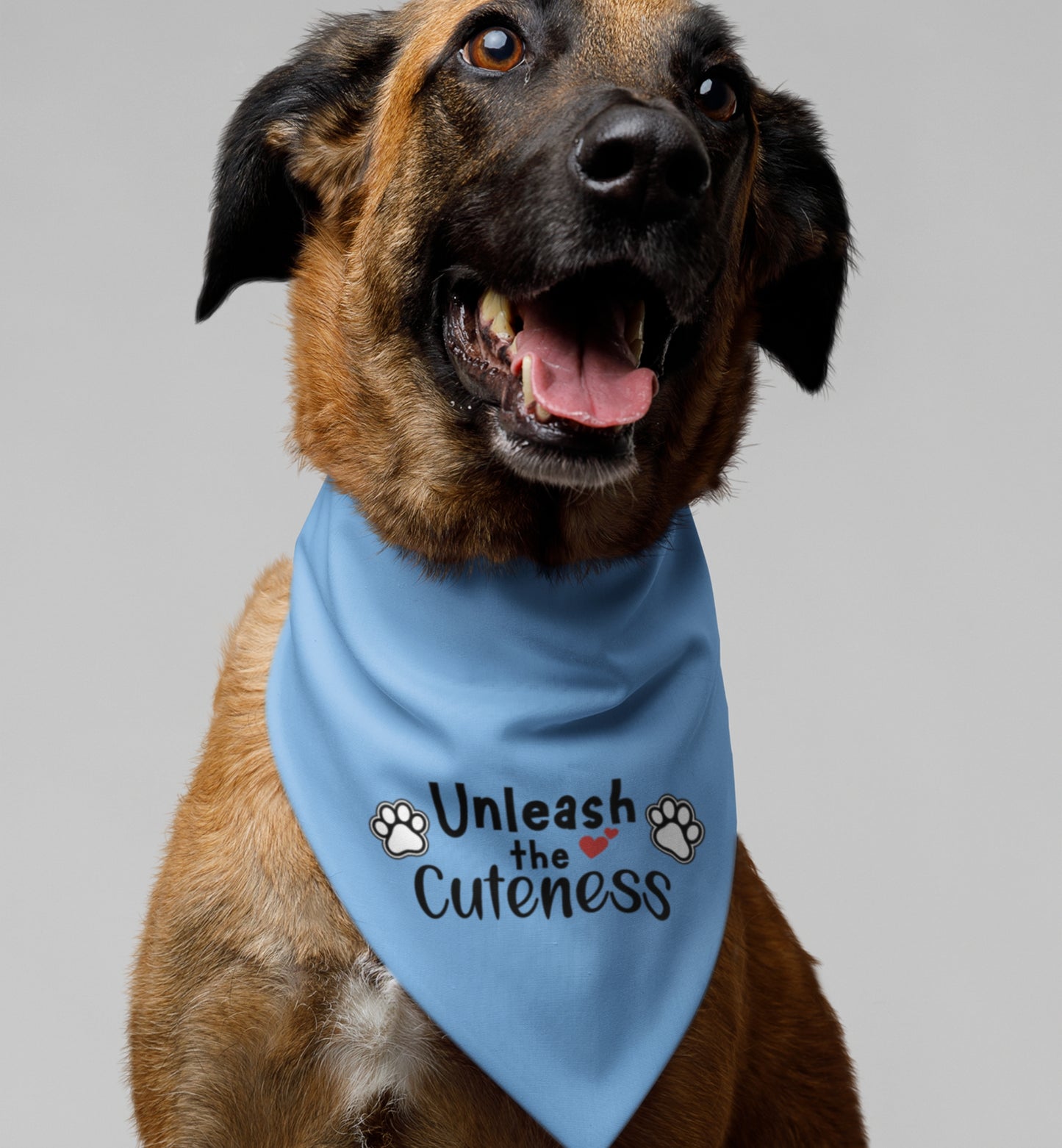 Pet Bandana Collar