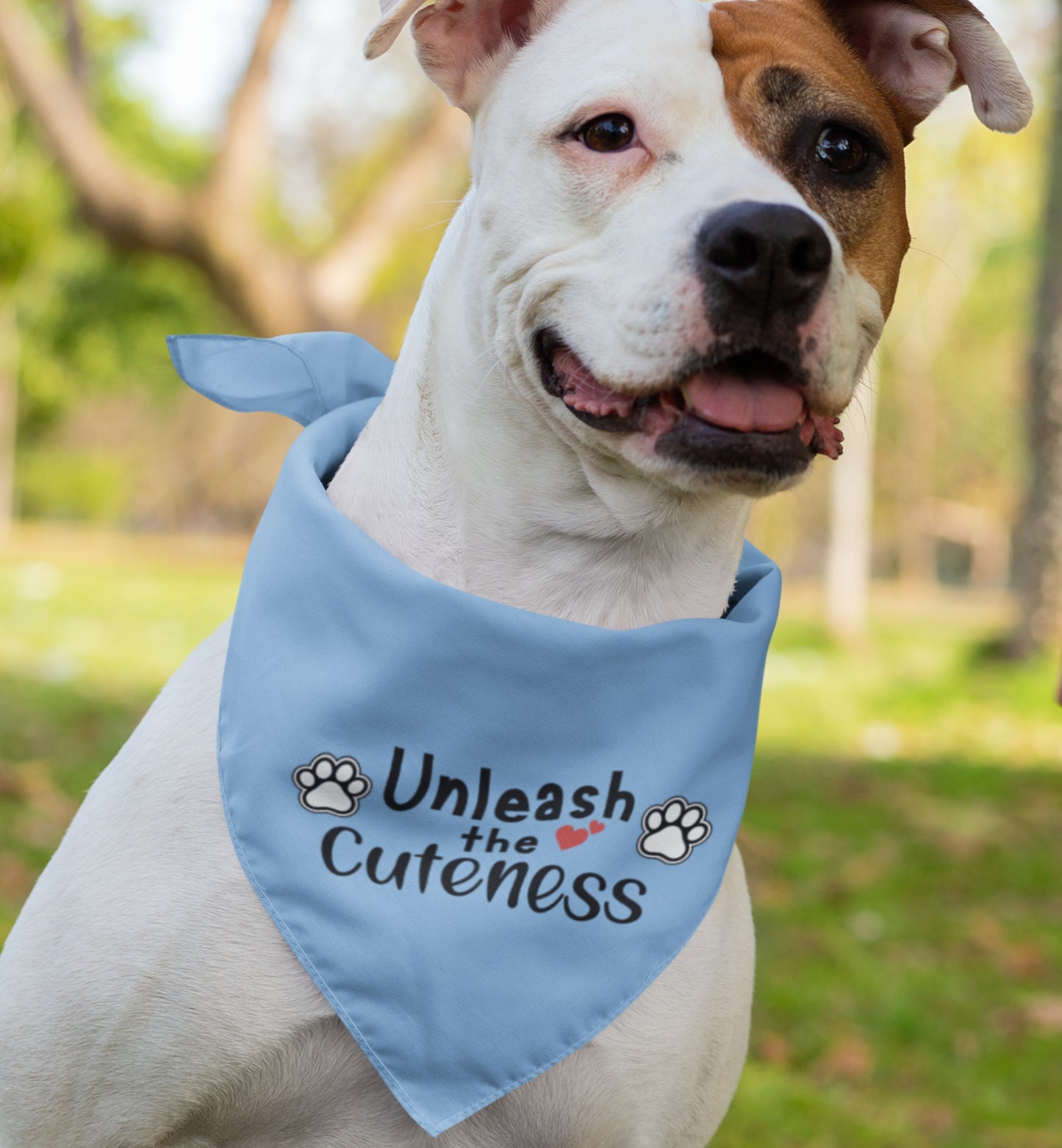 Pet Bandana Collar