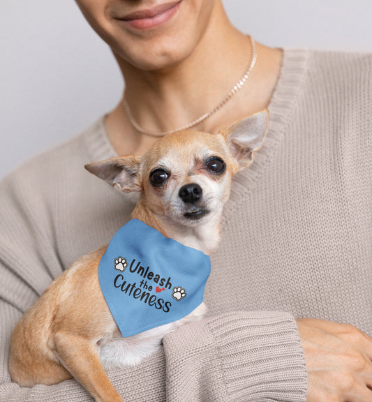 Pet Bandana Collar