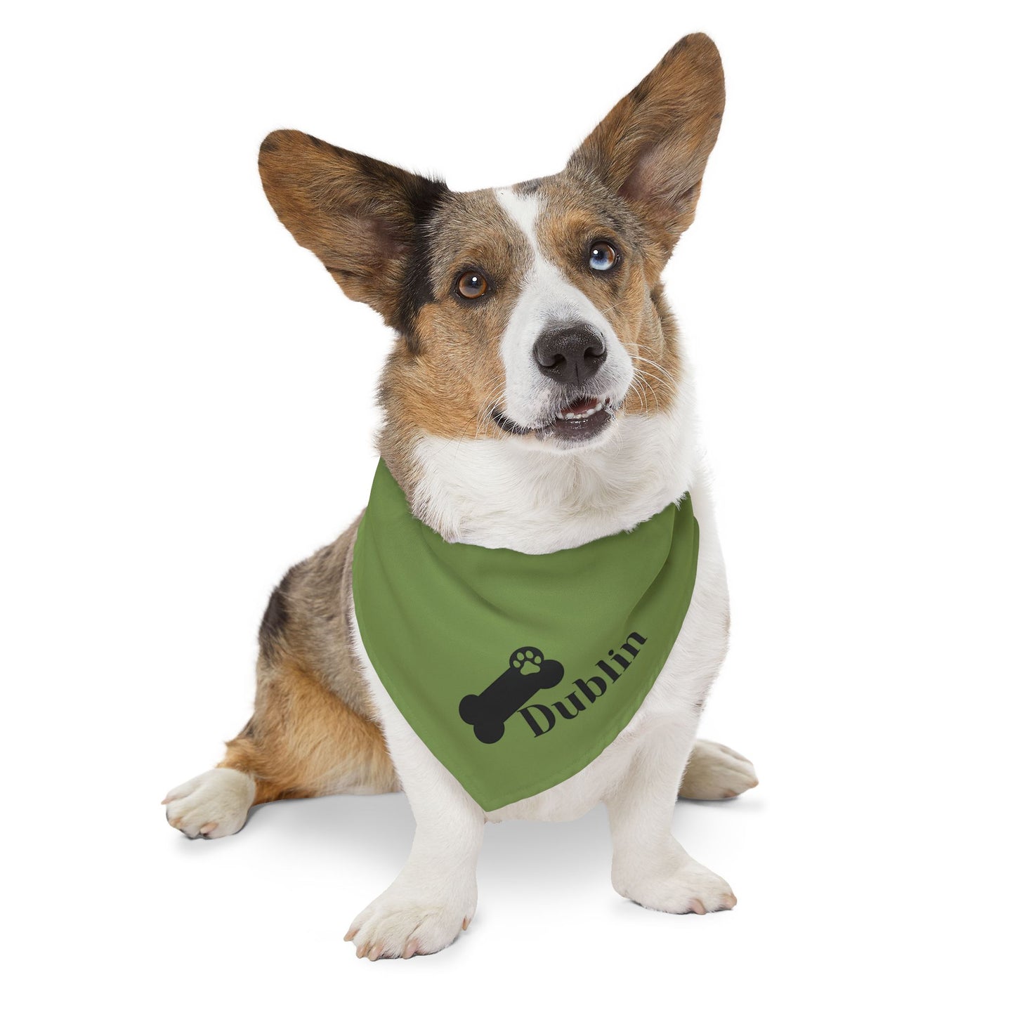 Pet Bandana Personalized